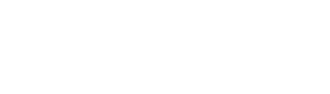 Maxi Rent a Car Logo